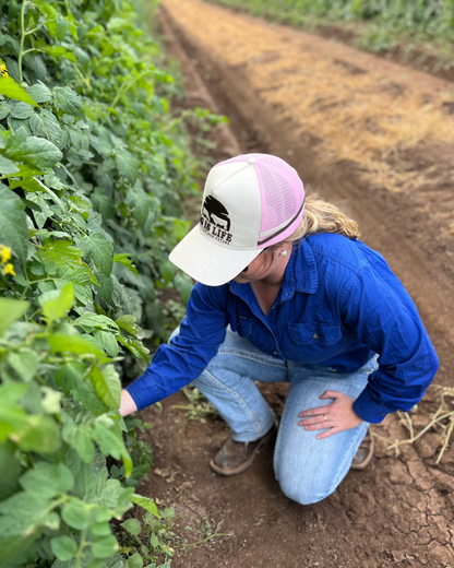 PROUD WOMEN IN AG - PINK